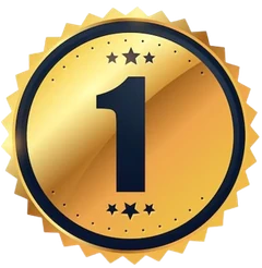 1 ano